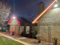 NEON Flex LED