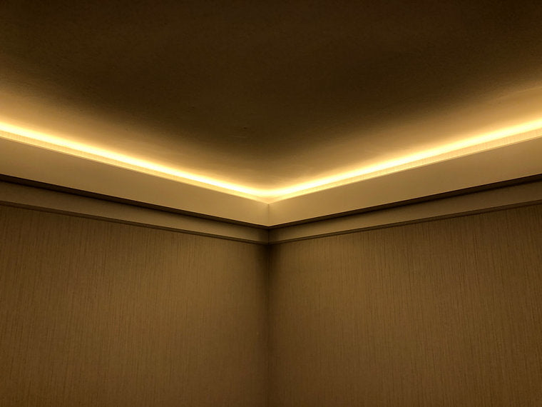 NEON Flex LED