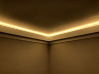 NEON Flex LED