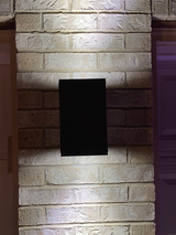 LED Dual Light