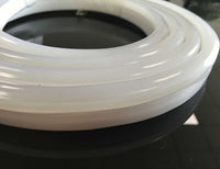 NEON Flex LED