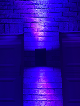 LED Dual Light