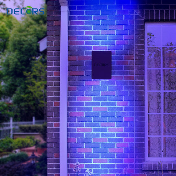 LED Dual Light