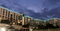 NEON Flex LED