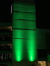 RGBW Projection Light